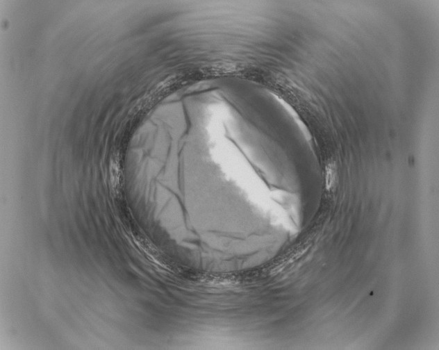 X0000088221011200706121825