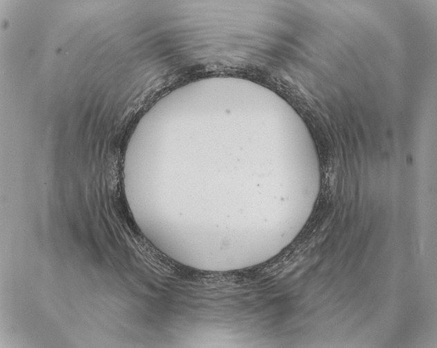 X0000088221012200706121825