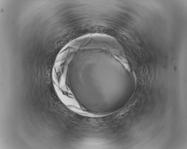 X0000088221013200706121825