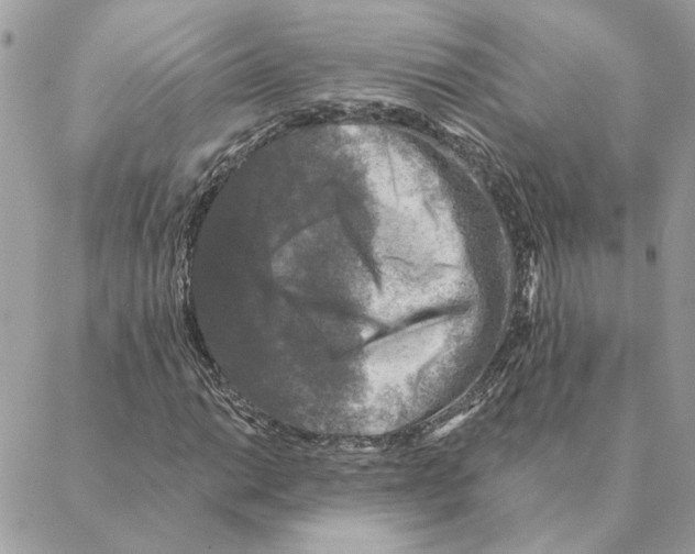 X0000088221014200706121825