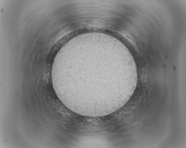 X0000088221015200706121825