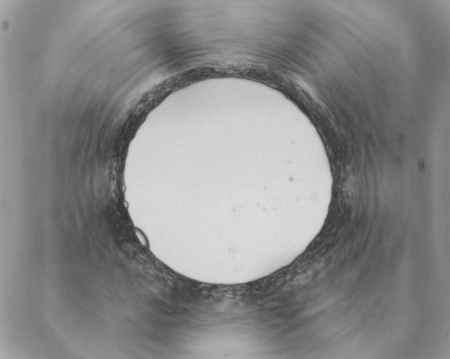 X0000088221016200706121825