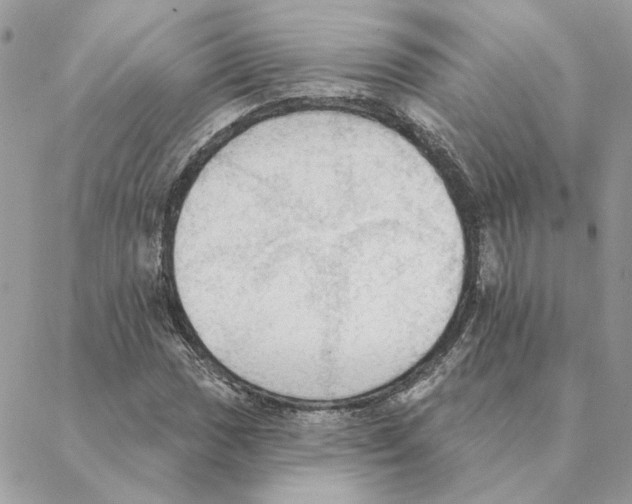 X0000088221017200706121825