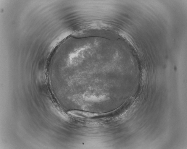 X0000088221018200706121825