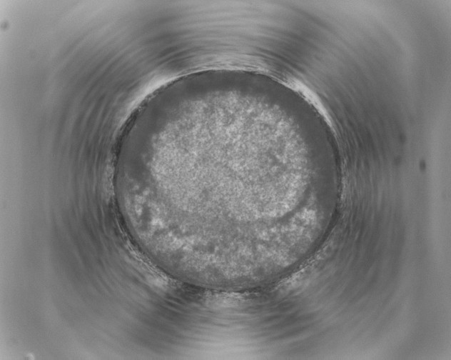 X0000088221019200706121825