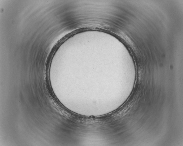 X0000088221020200706121825