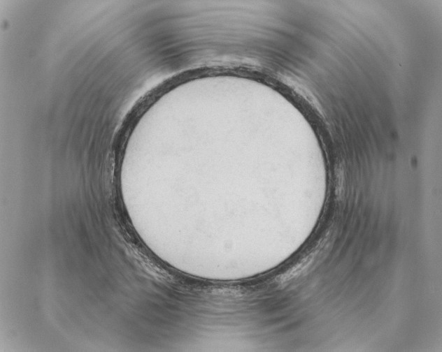 X0000088221021200706121825