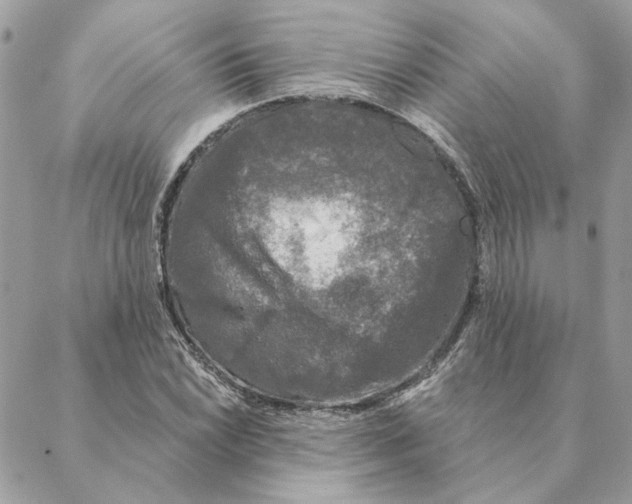 X0000088221022200706121825