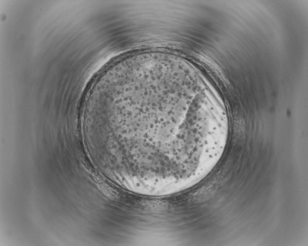 X0000088221023200706121825