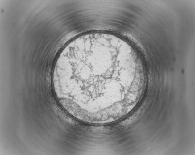 X0000088221025200706121825