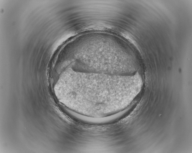 X0000088221026200706121825