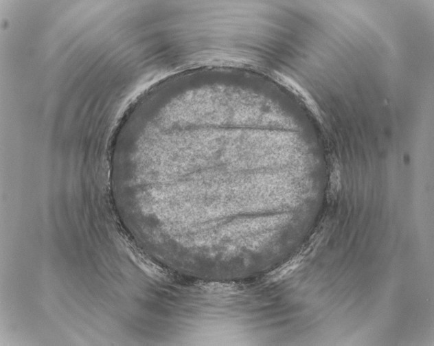 X0000088221027200706121825