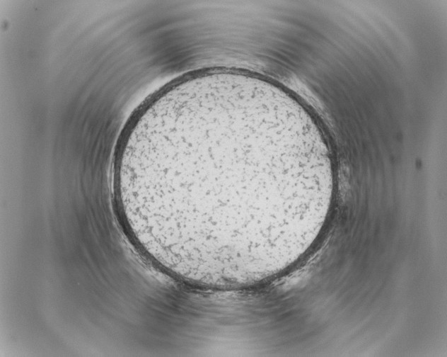 X0000088221028200706121825