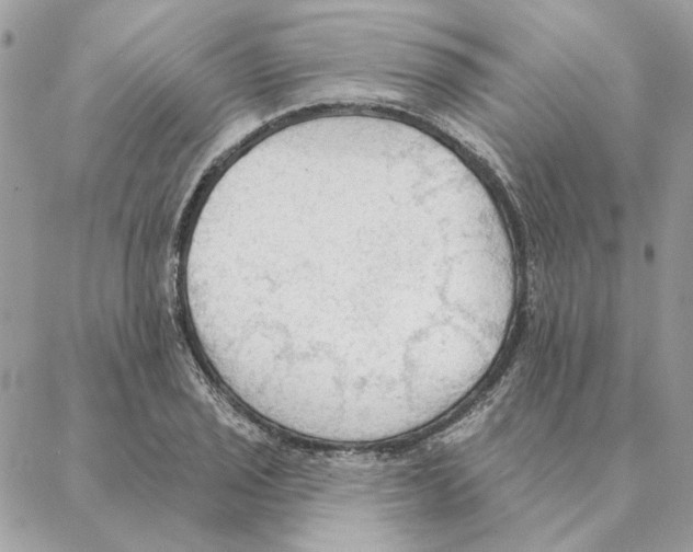 X0000088221029200706121825