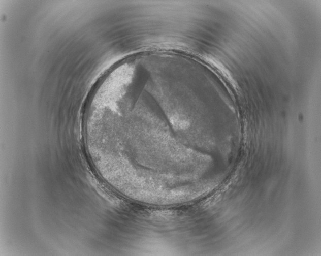 X0000088221031200706121825