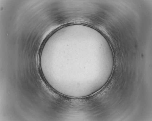 X0000088221032200706121825