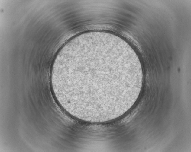 X0000088221033200706121825