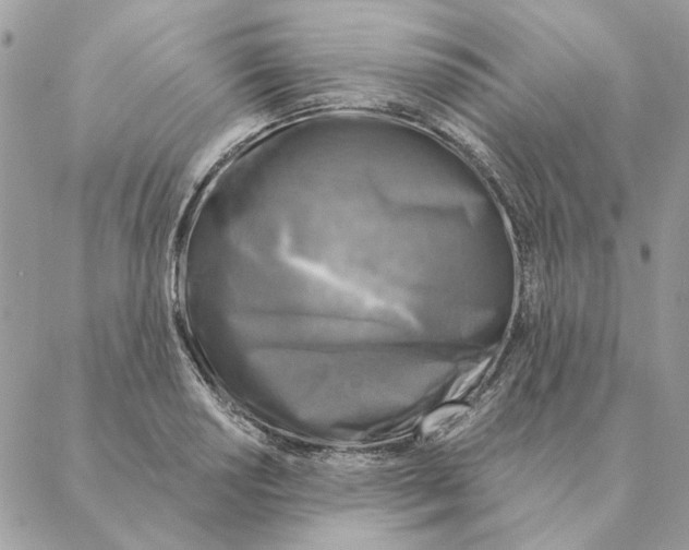 X0000088221034200706121825