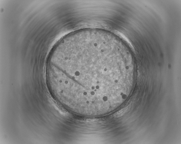 X0000088221035200706121825