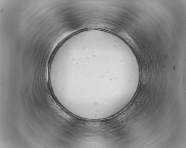 X0000088221036200706121825