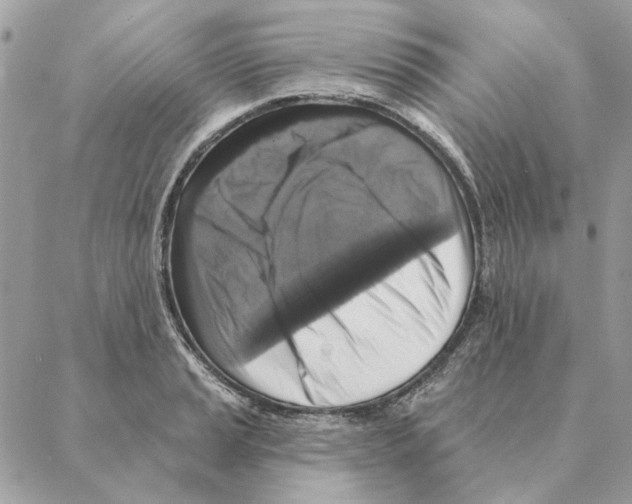 X0000088221037200706121825