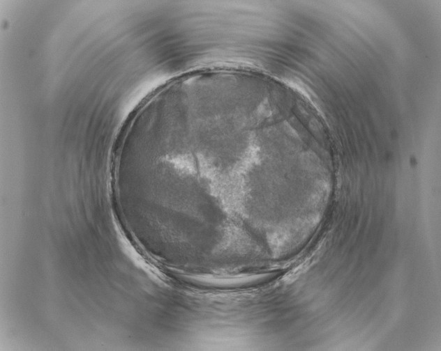 X0000088221038200706121825