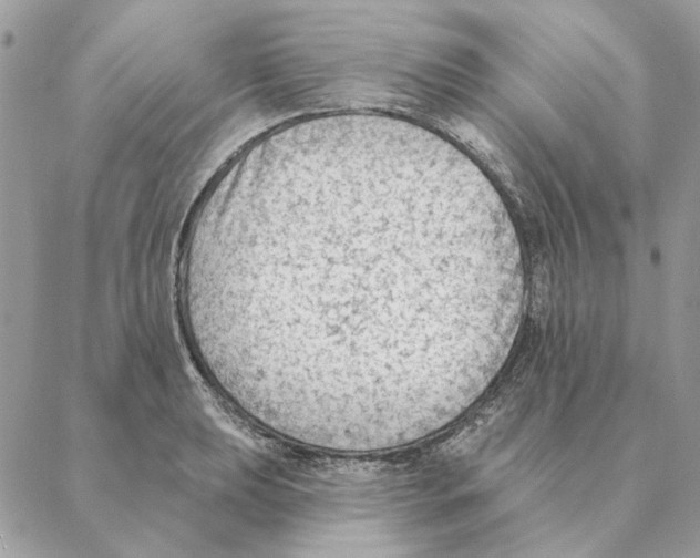 X0000088221039200706121825