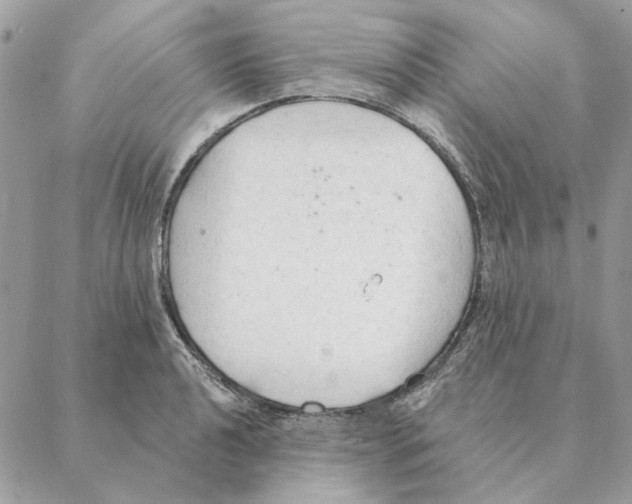 X0000088221040200706121825