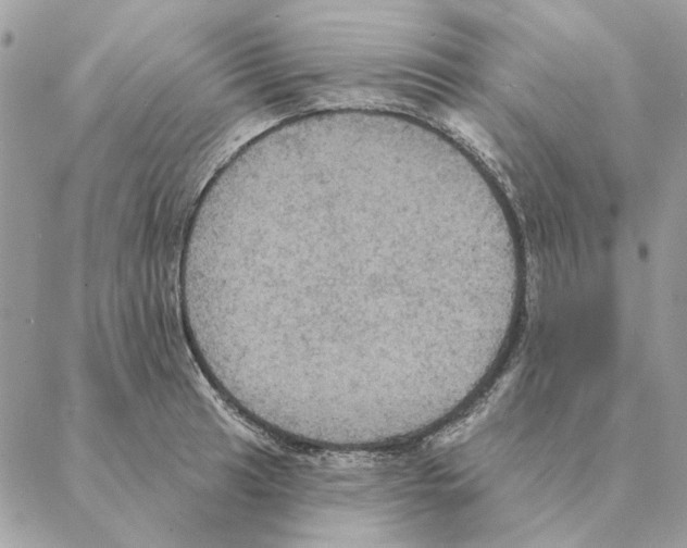 X0000088221041200706121825