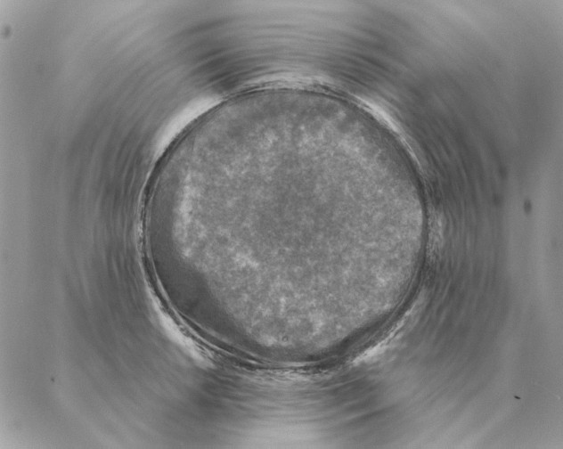 X0000088221042200706121825