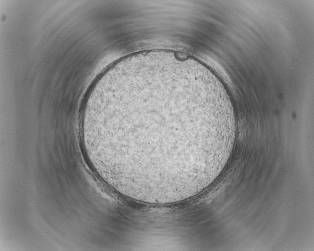 X0000088221043200706121825