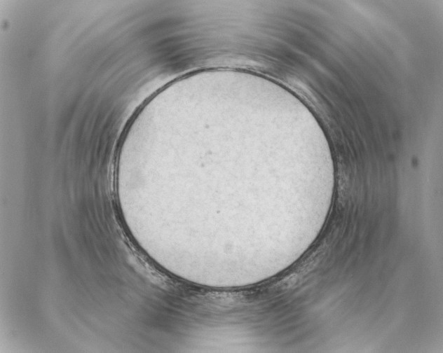 X0000088221044200706121825