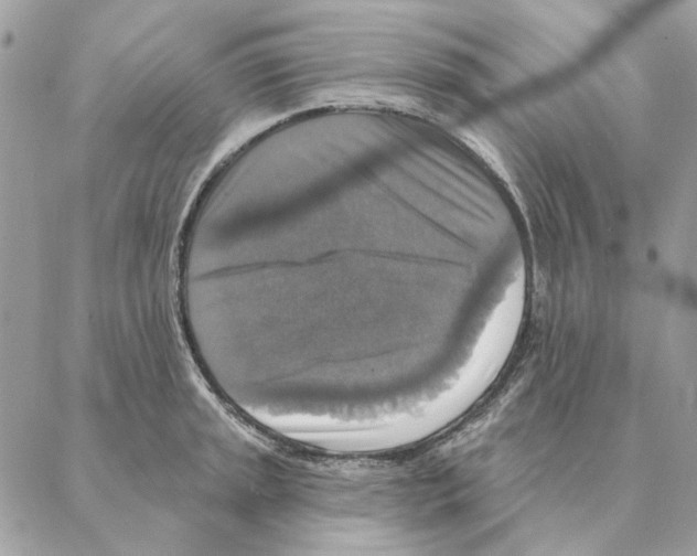 X0000088221045200706121825