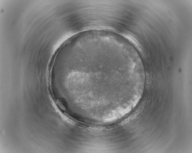 X0000088221046200706121825