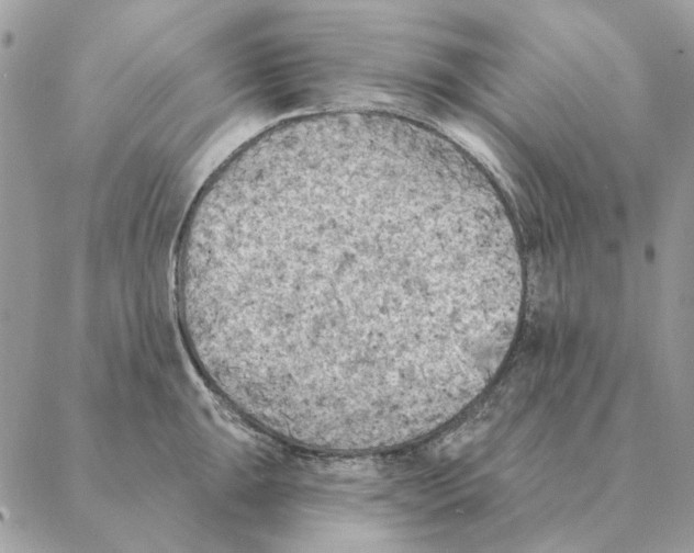 X0000088221047200706121825