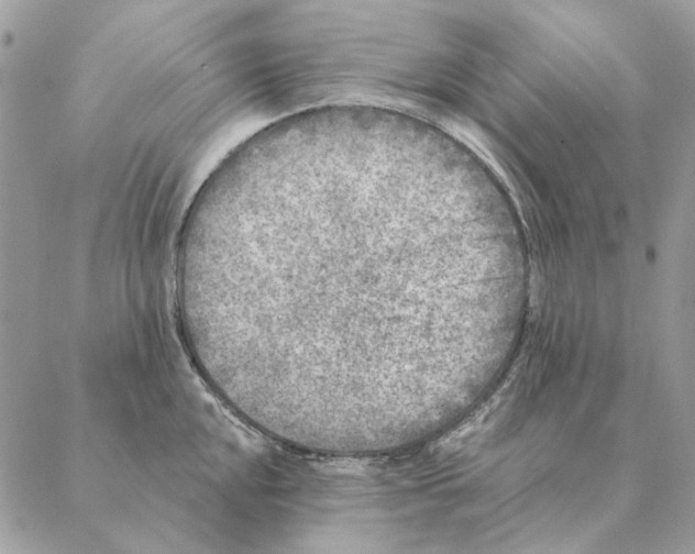 X0000088221048200706121825