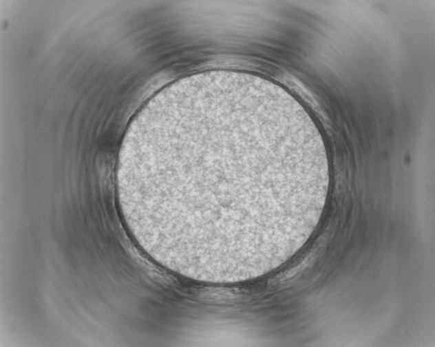 X0000088221049200706121825