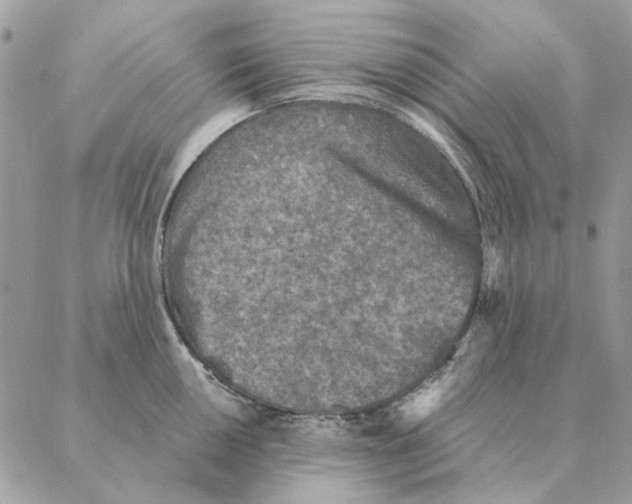 X0000088221050200706121825