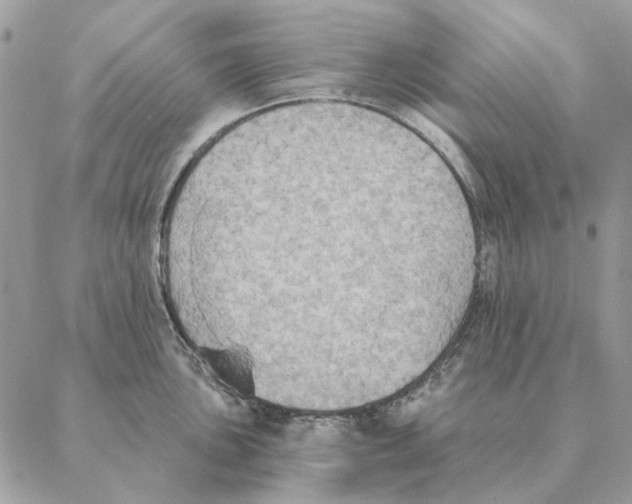 X0000088221051200706121825