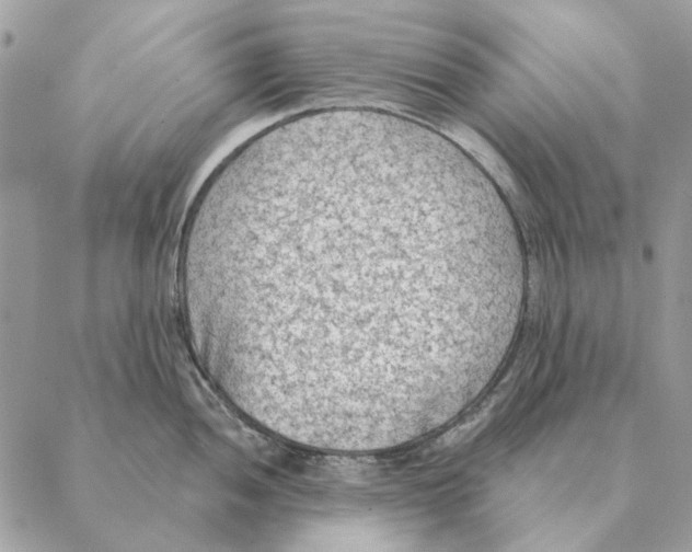 X0000088221052200706121825