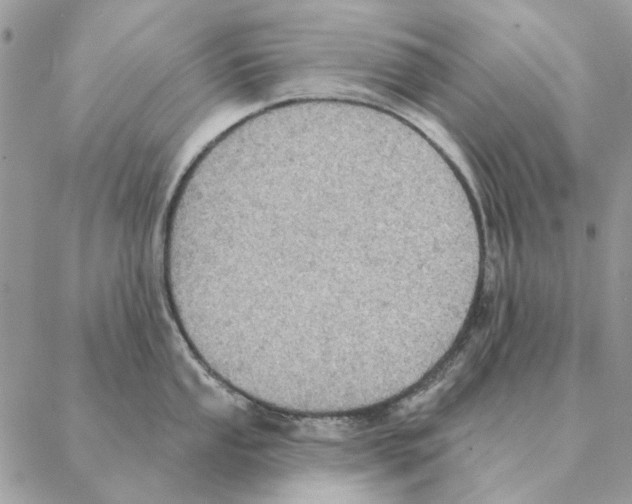 X0000088221053200706121825