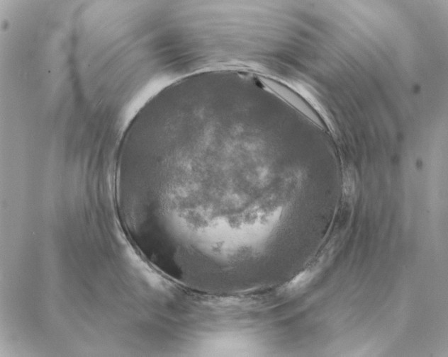 X0000088221054200706121825