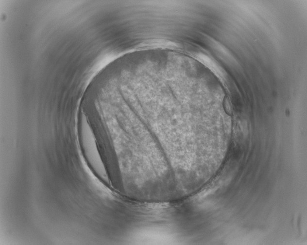 X0000088221055200706121825