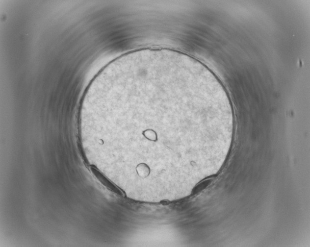 X0000088221056200706121825