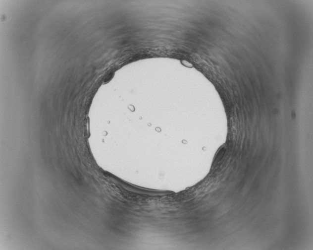 X0000088221057200706121825