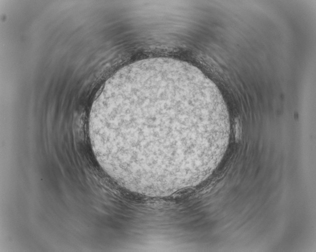 X0000088221059200706121824