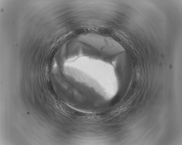 X0000088221060200706121824