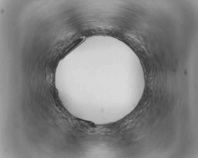 X0000088221061200706121824