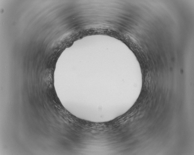 X0000088221062200706121824