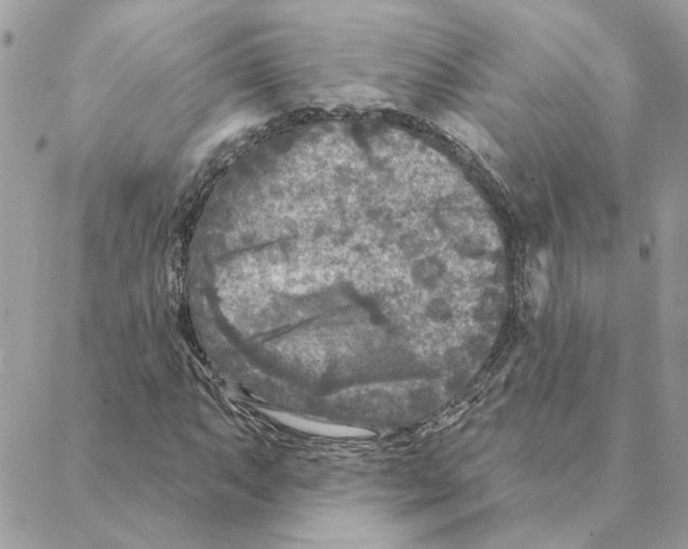 X0000088221063200706121824